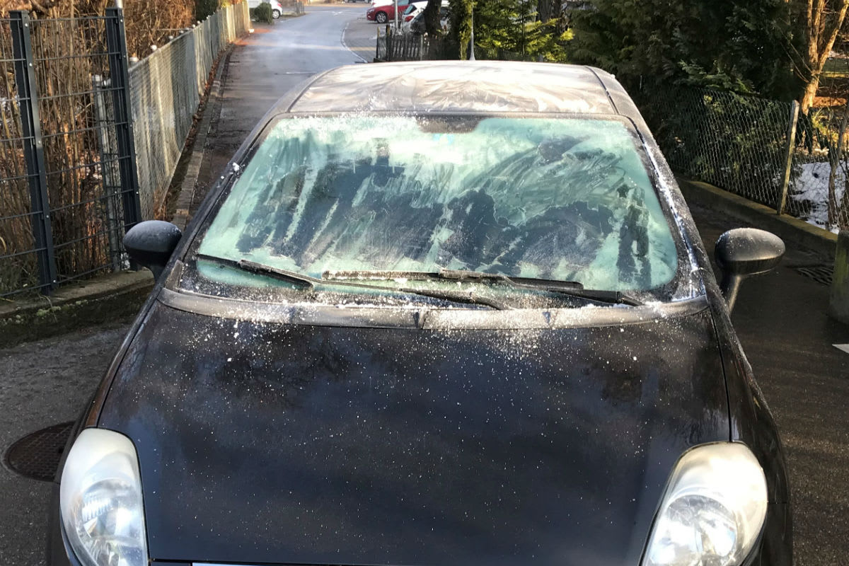 Kanton TG - Freie Sicht bringt Sicherheit