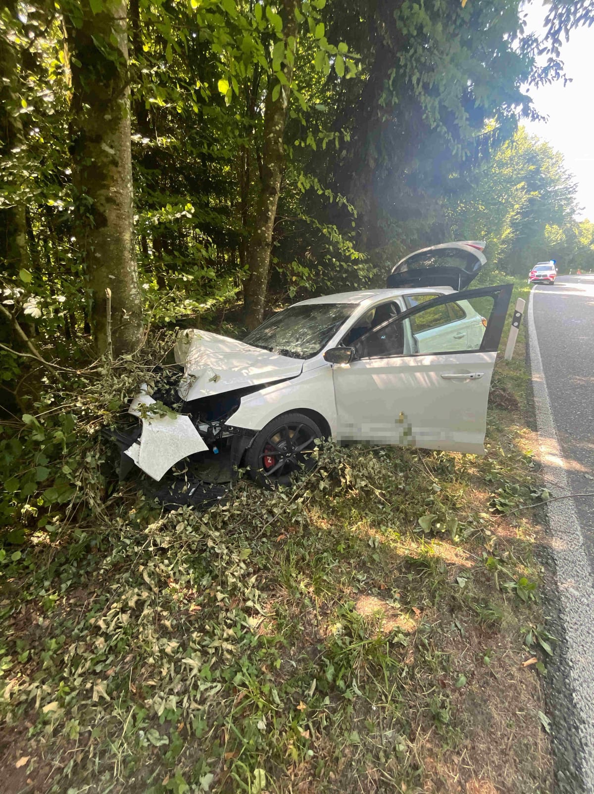 Fulenbach SO – Auto prallt nach Ausweichmanöver gegen Baum