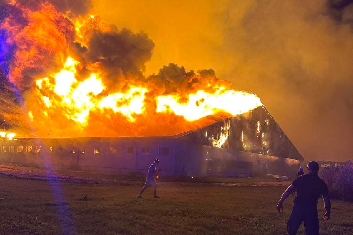 Coswig – 20.000 Schweine sterben bei Großbrand in Mastanlage