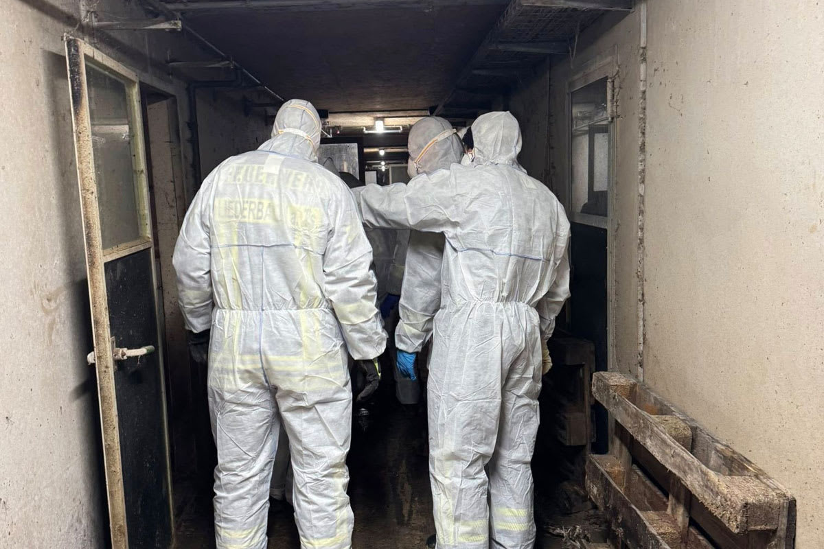 Riedstadt –  Rund 500 Schweine sterben bei Großbrand
