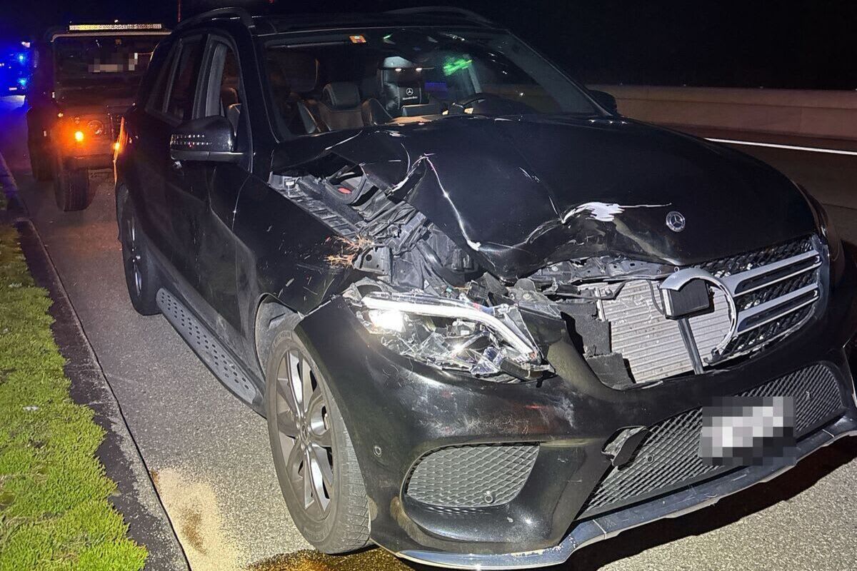 A1 Kriegstetten/Derendingen SO – Zwei Unfälle mit Hirsch in nur zehn Minuten