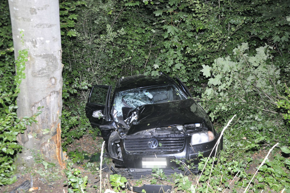 Nuglar-St. Pantaleon SO - Mit Auto in Baum geprallt – Lenker unverletzt
