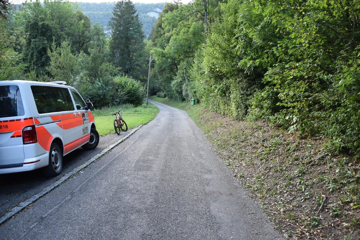 Zeugenaufruf aus Bärschwil SO - Hund vor Augen der Besitzerin totgefahren und danach davongefahren!