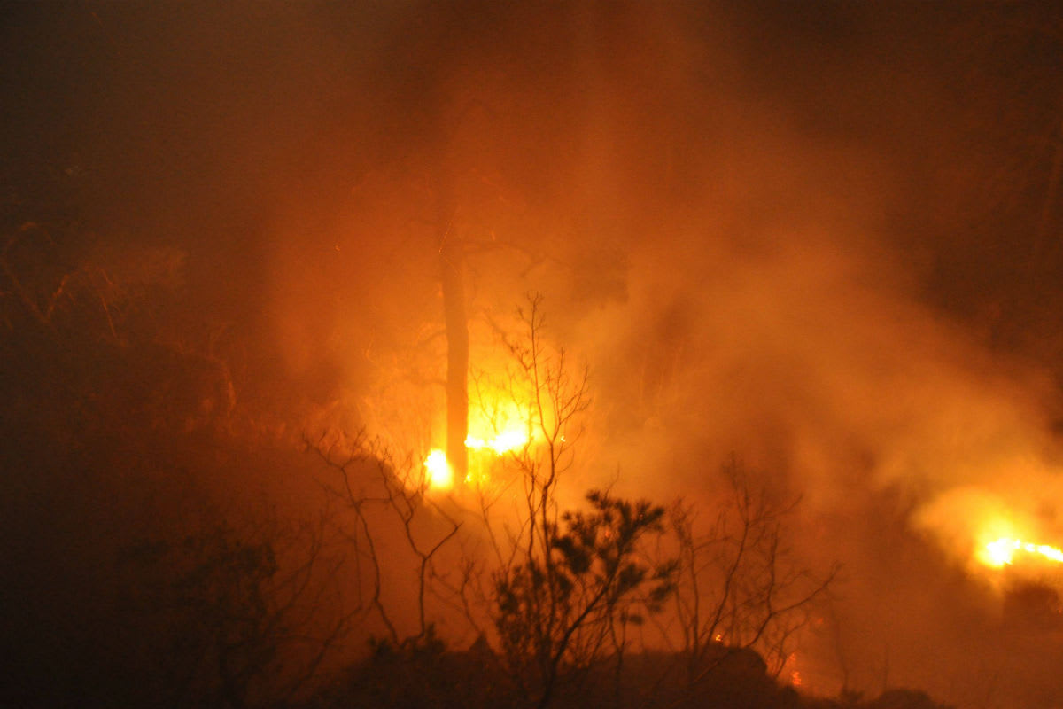 Gempen SO - Waldbrand unterhalb vom Gempenturm 