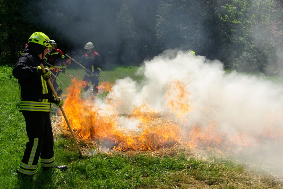 Kiel – Hitze erhöht Gefahr von Flächen- und Waldbränden