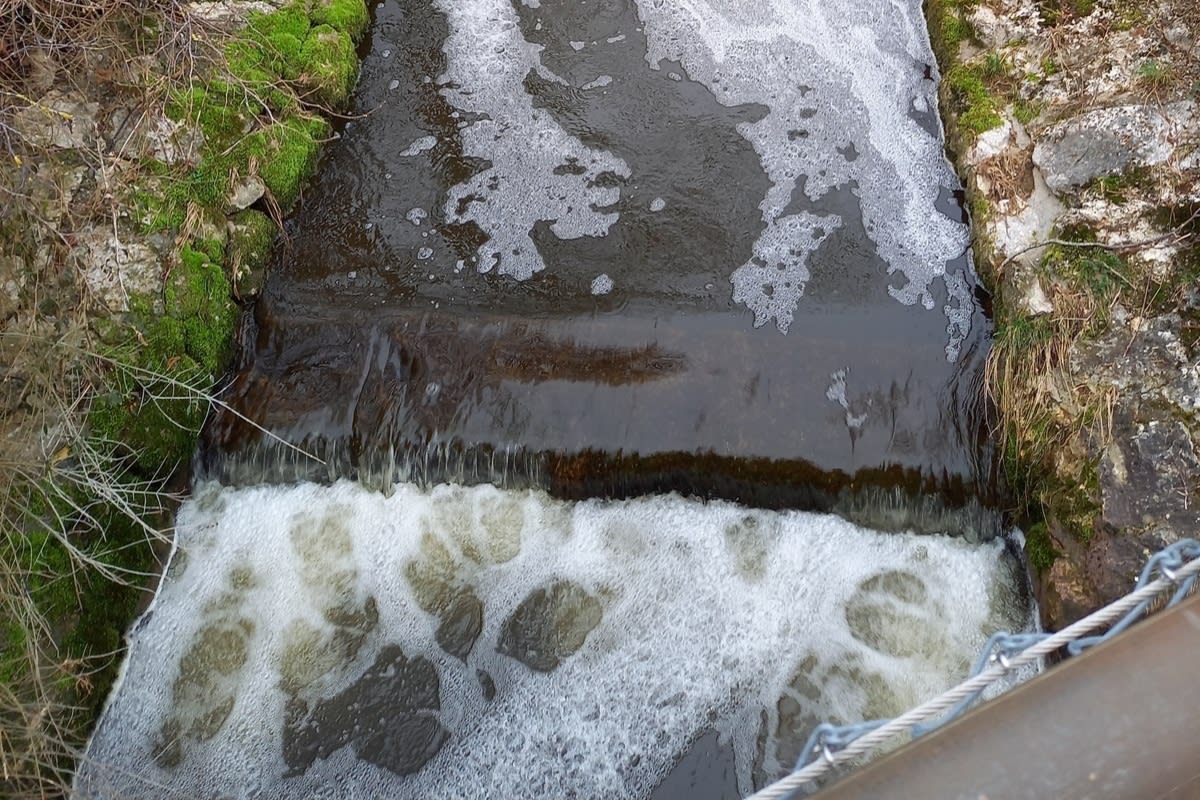 Welschenrohr SO - Fischsterben aufgrund von Gülle im Bach 