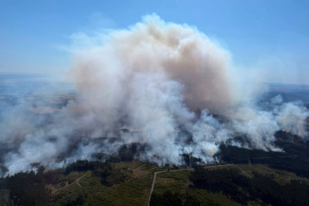 Hürtgenwald – Waldbrand auf 300 Hektar – Gey bleibt evakuiert