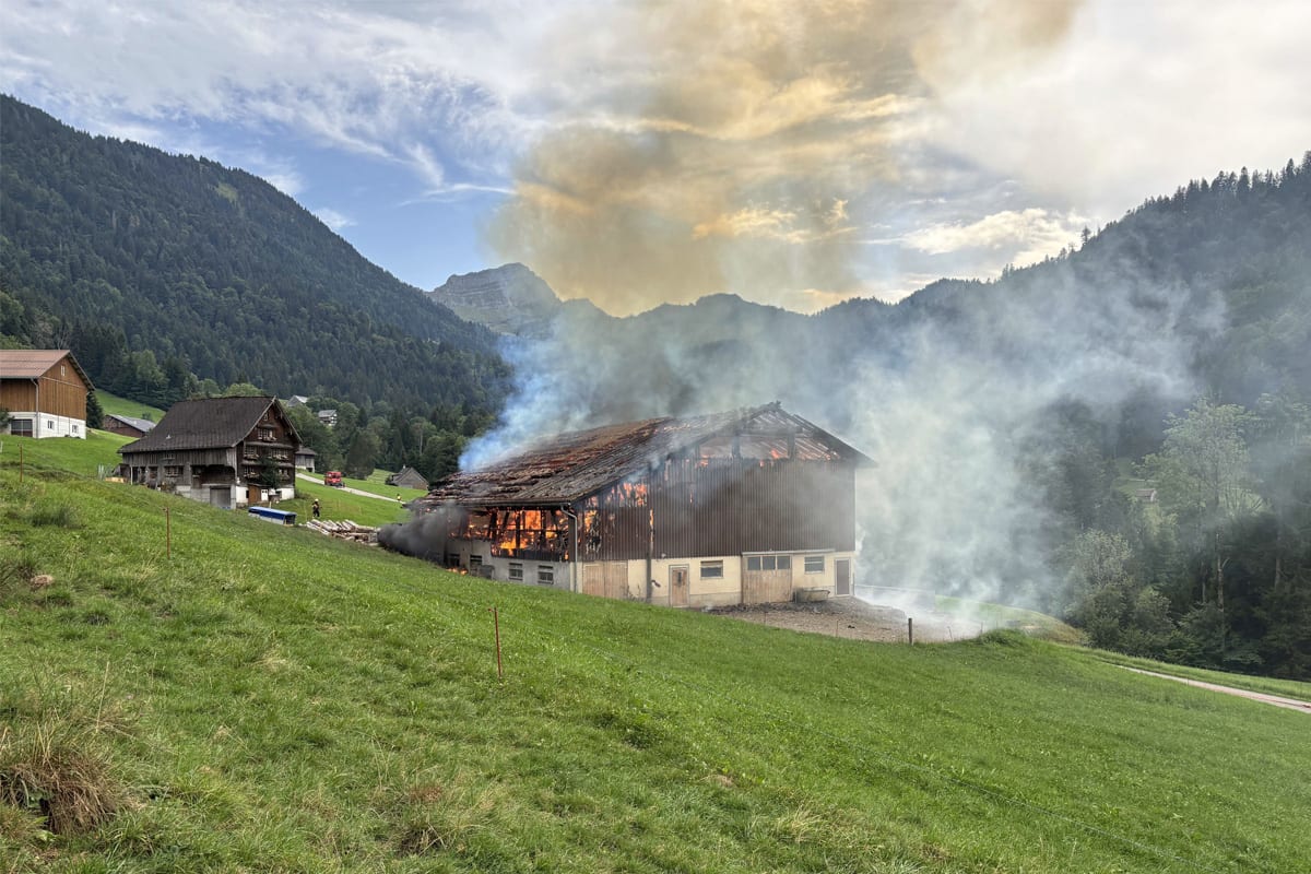 Ebnat-Kappel SG – Viehscheune nach Blitzschlag abgebrannt