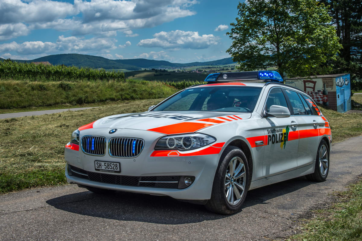 Neuhausen am Rheinfall SH – Fussgängerin und Hündin bei Unfall verletzt