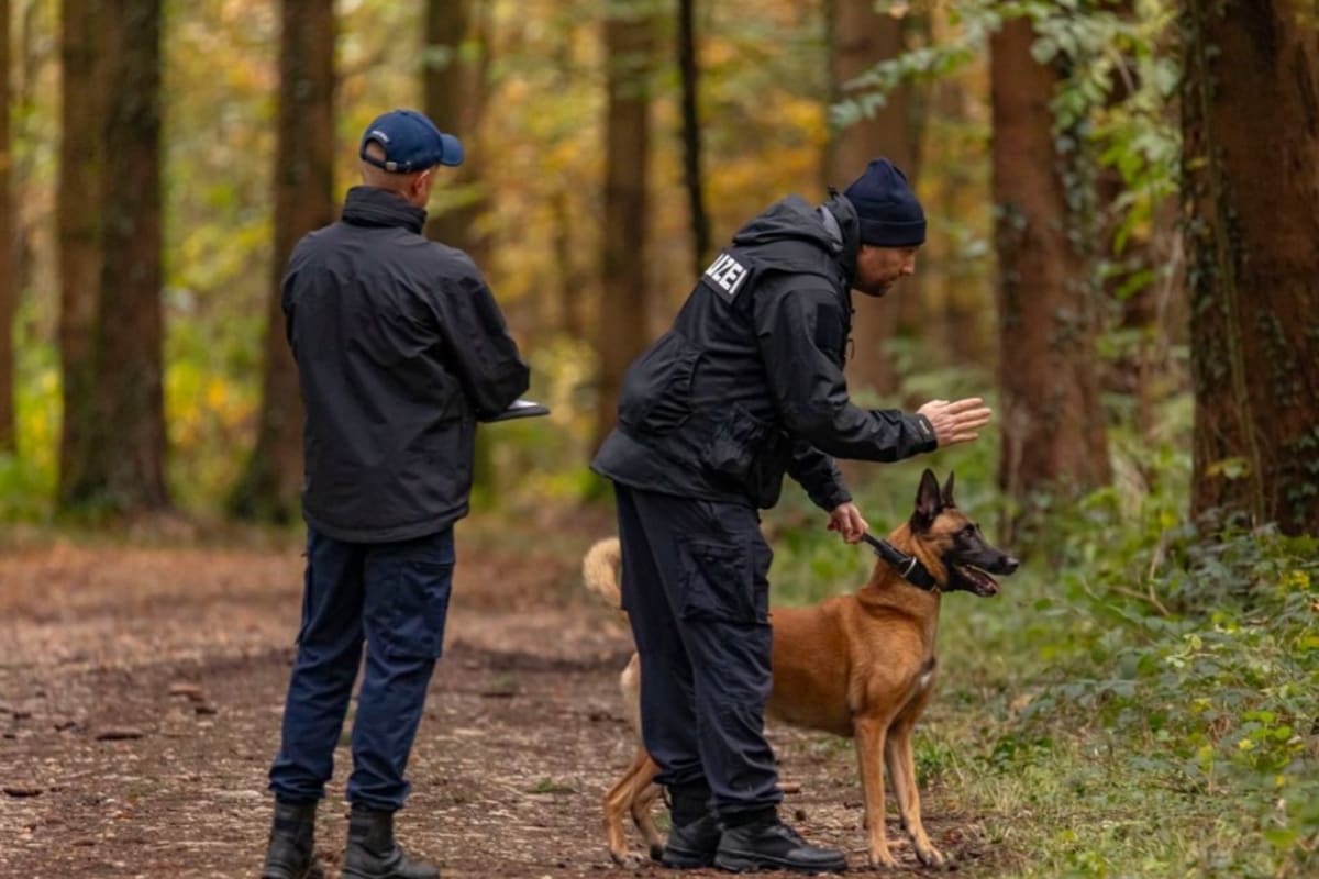 Kanton Solothurn - Diensthunde stellen sich der jährlichen Hundeprüfung