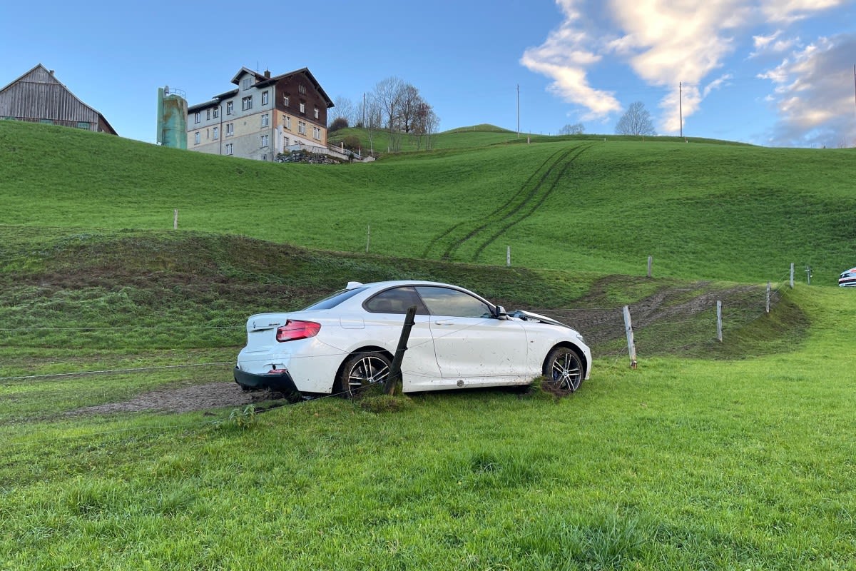 Appenzell - Kontrolle über BMW verloren und verunfallt