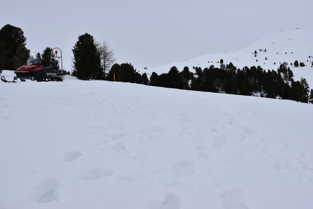 Müstair/Lü GR - Vermisste Schneeschuhwanderin aufgefunden