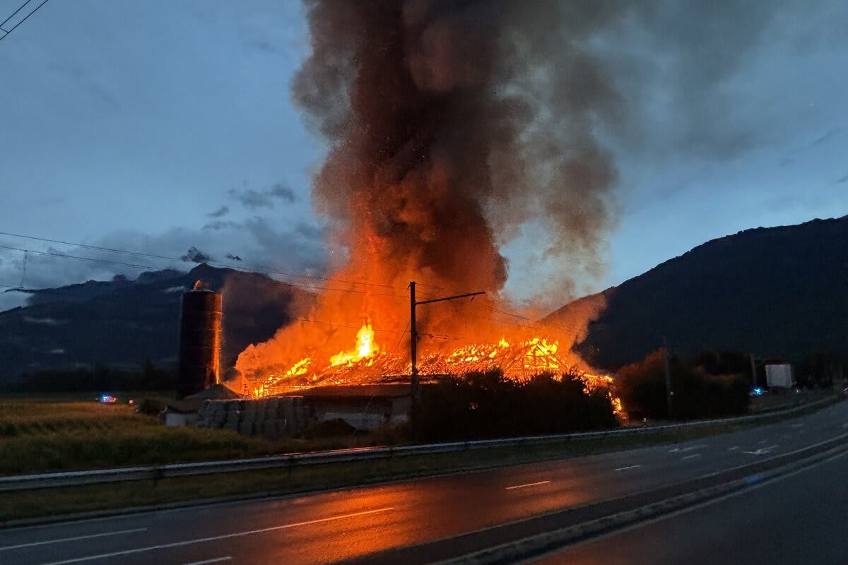 St-Triphon VD – Mehrere Gänse sterben bei Brand auf Bauernhof