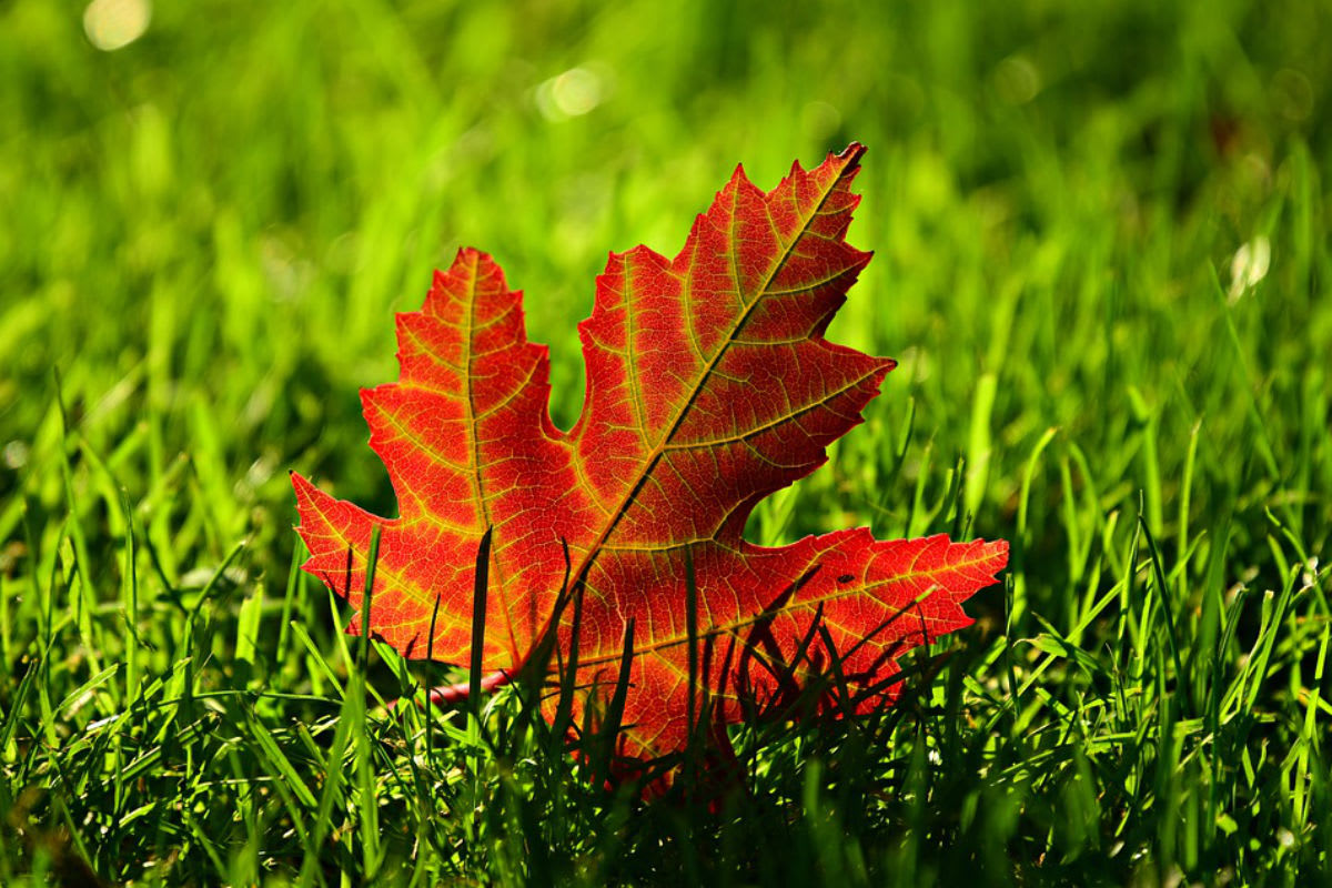 Die ersten Herbststürme im Anmarsch