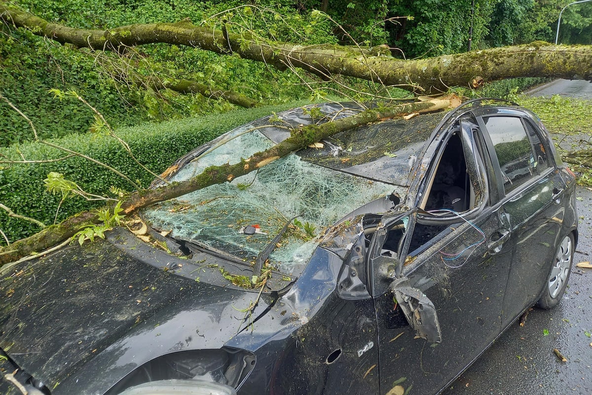Herdecke – Baum stürzt auf Pkw und verletzt zwei Menschen