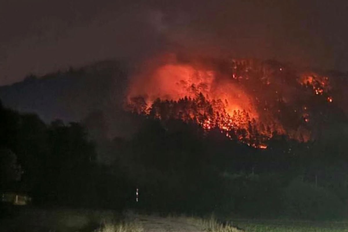 Amberg-Sulzbach – Waldbrand auf 5,7 Hektar in Freudenberg