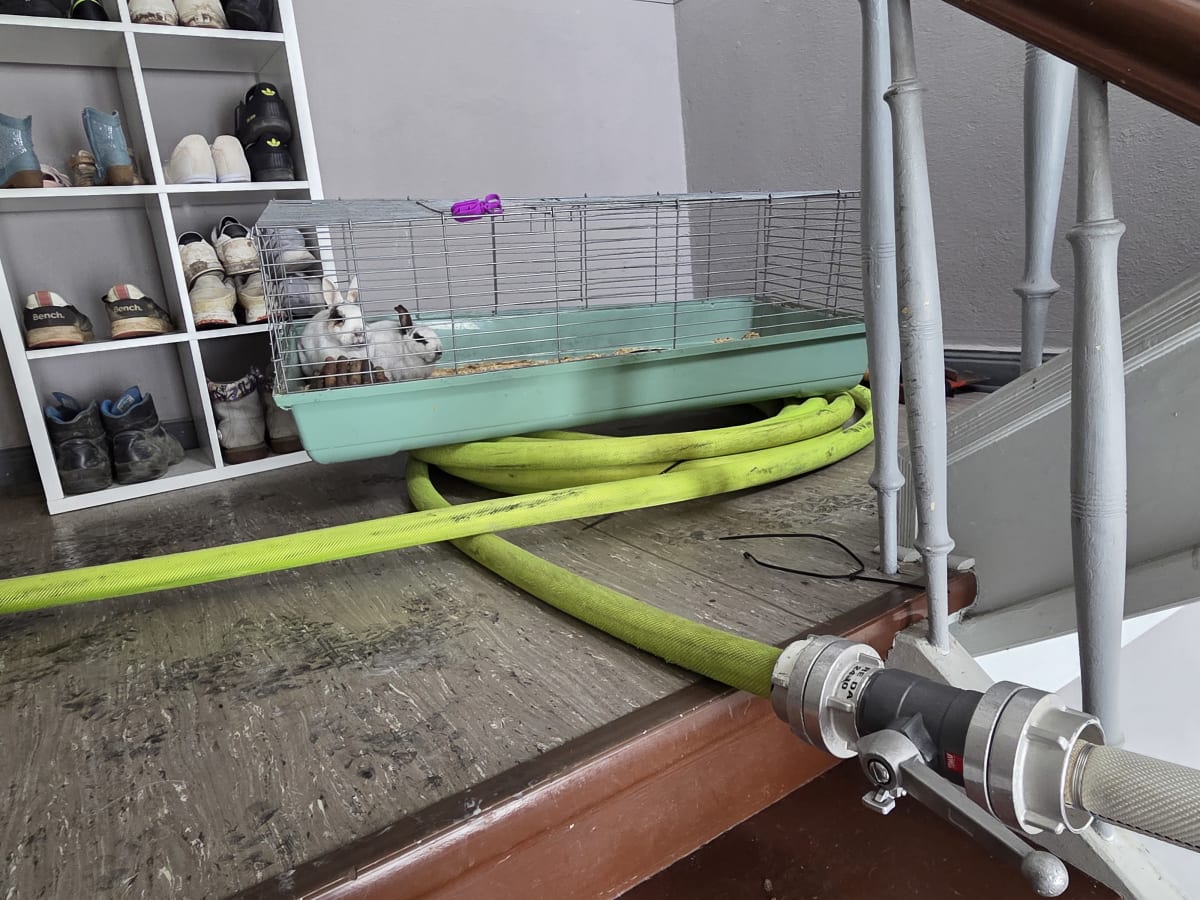 Datteln – Zwei Kaninchen bei Brand aus Wohnung gerettet