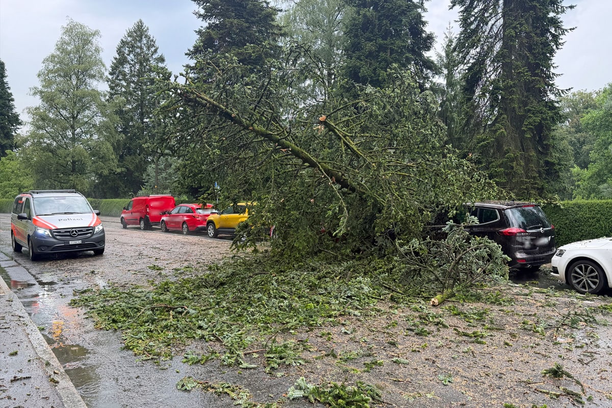 Kanton Luzern – Zahlreiche Einsätze nach Gewitter