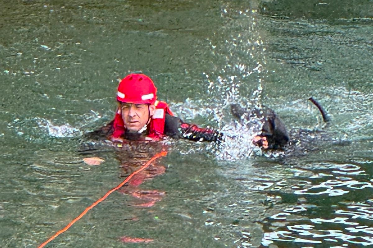 München – Feuerwehr rettet Hund aus der Isar