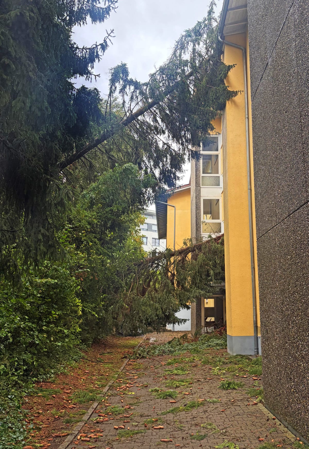 Überlingen – Schweres Unwetter führt zu zahlreichen Einsätzen