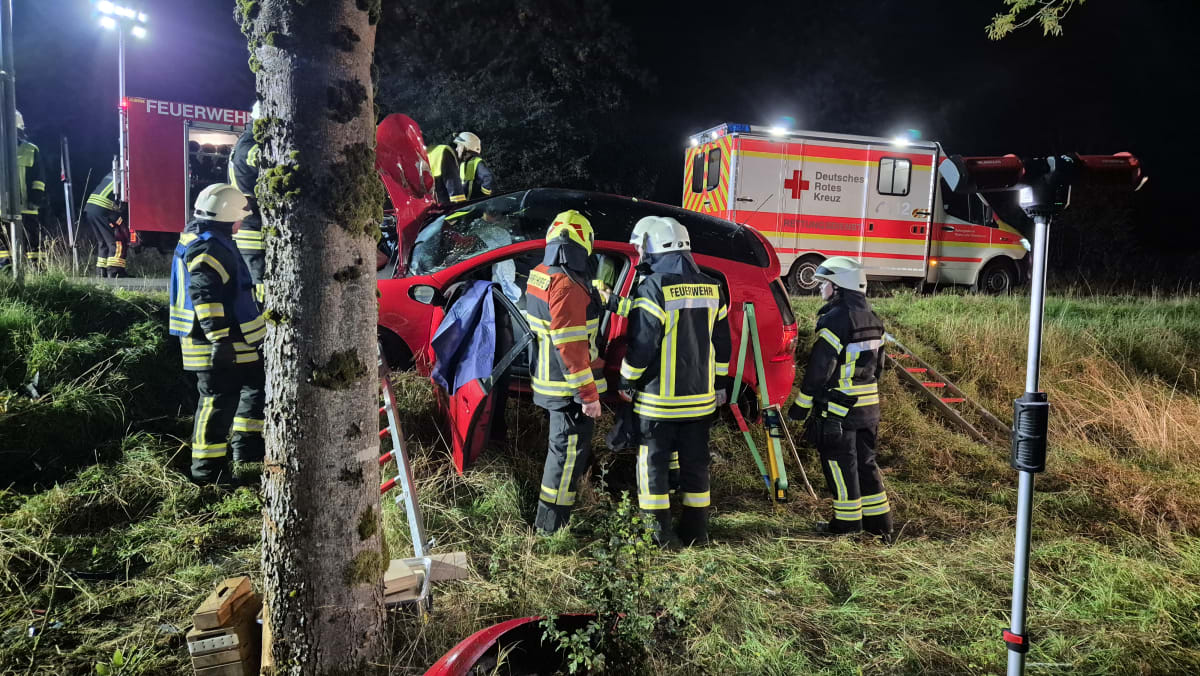 Bellingen – Fahrer prallt nach Wildunfall gegen Baum
