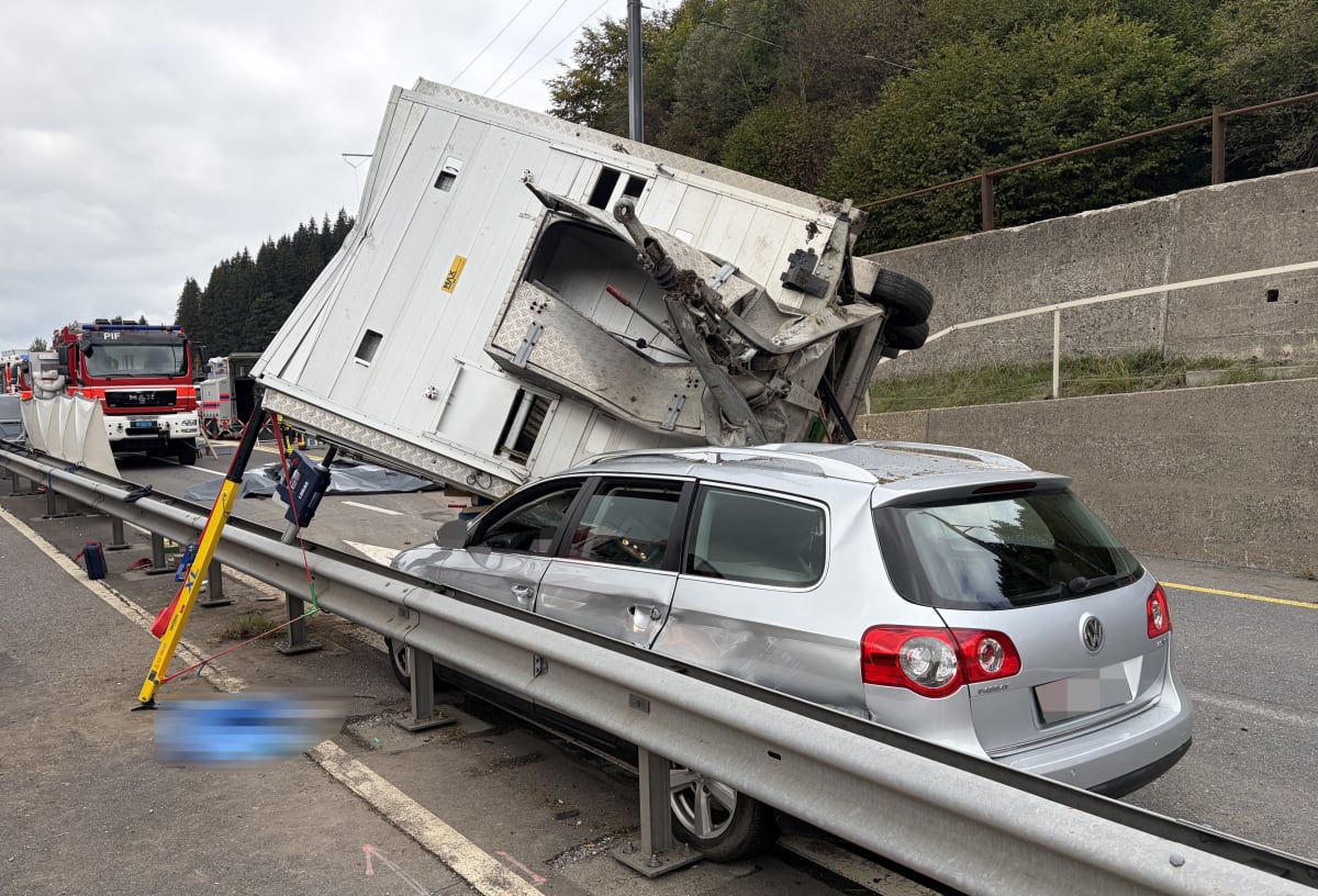 Biberbrugg SZ – Fünf Rinder nach Verkehrsunfall eingeschläfert