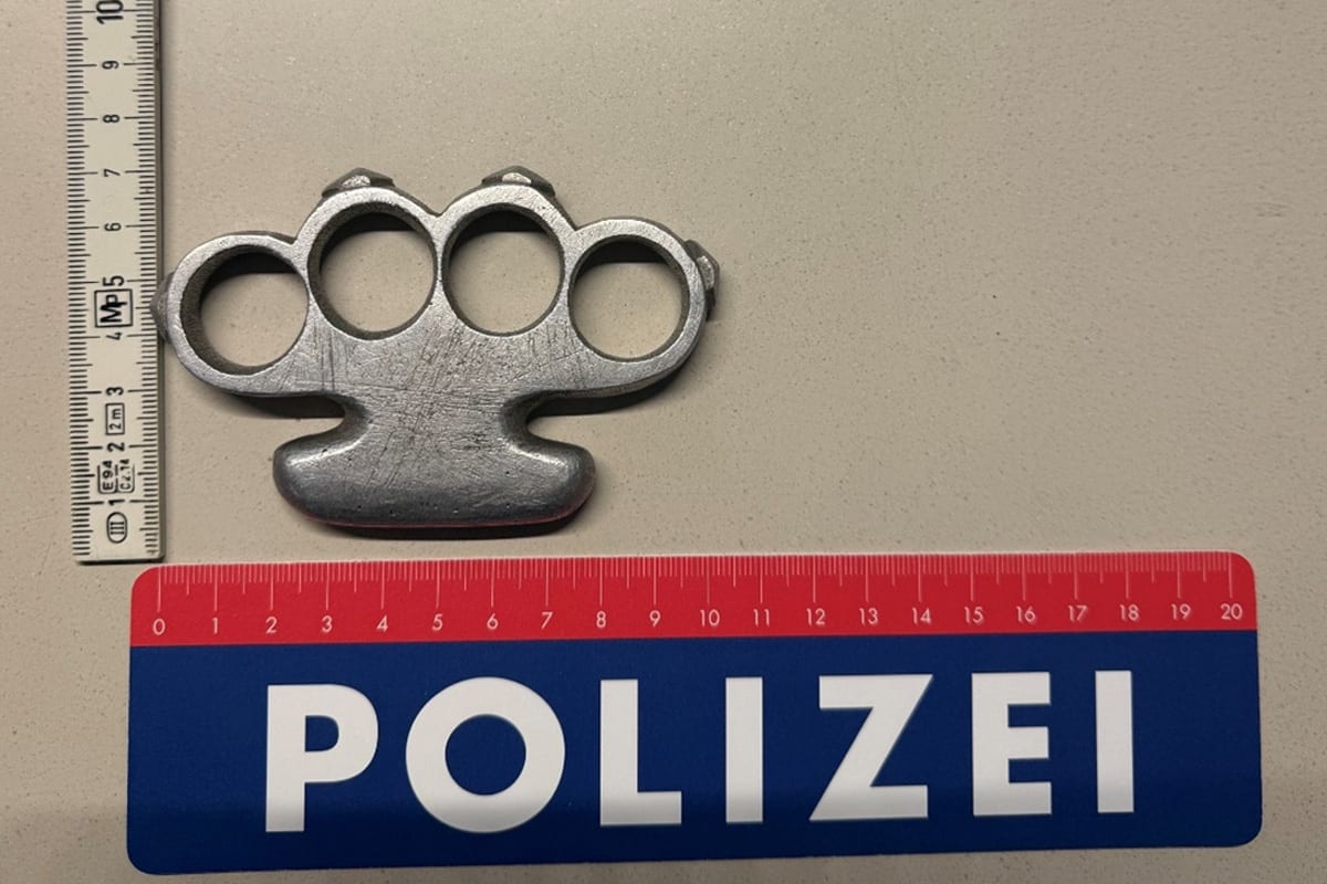 Wien – Autofahrer bedroht Hundebesitzer mit Schlagring
