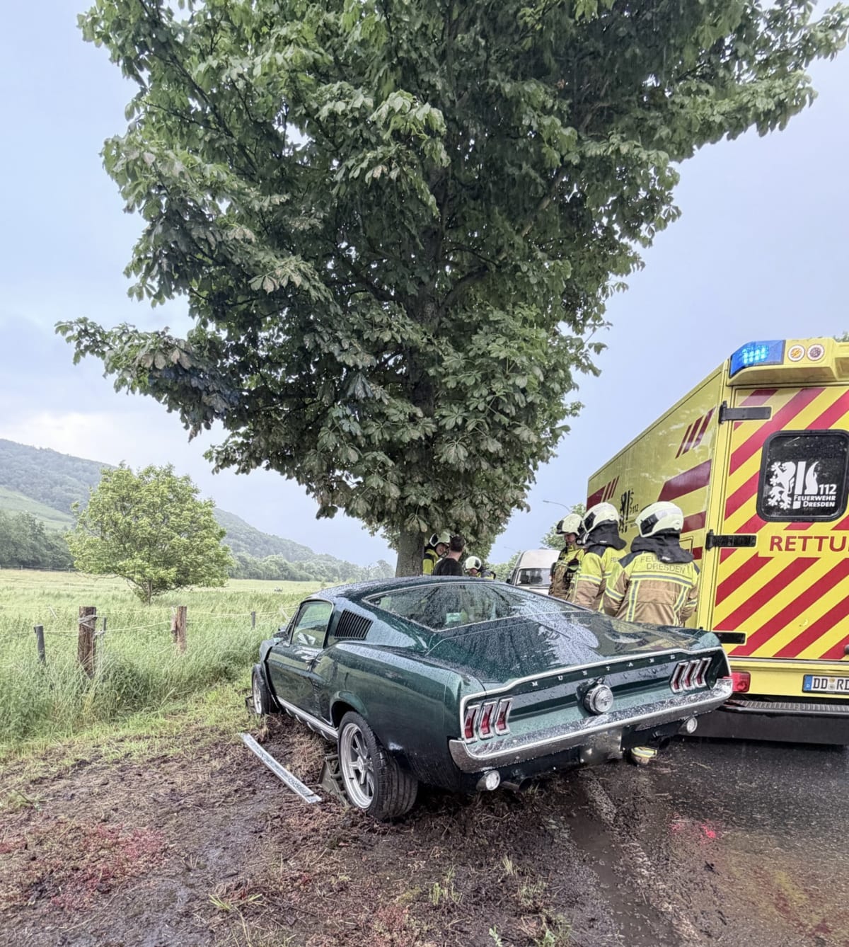 Dresden – Ford Mustang prallt gegen Baum