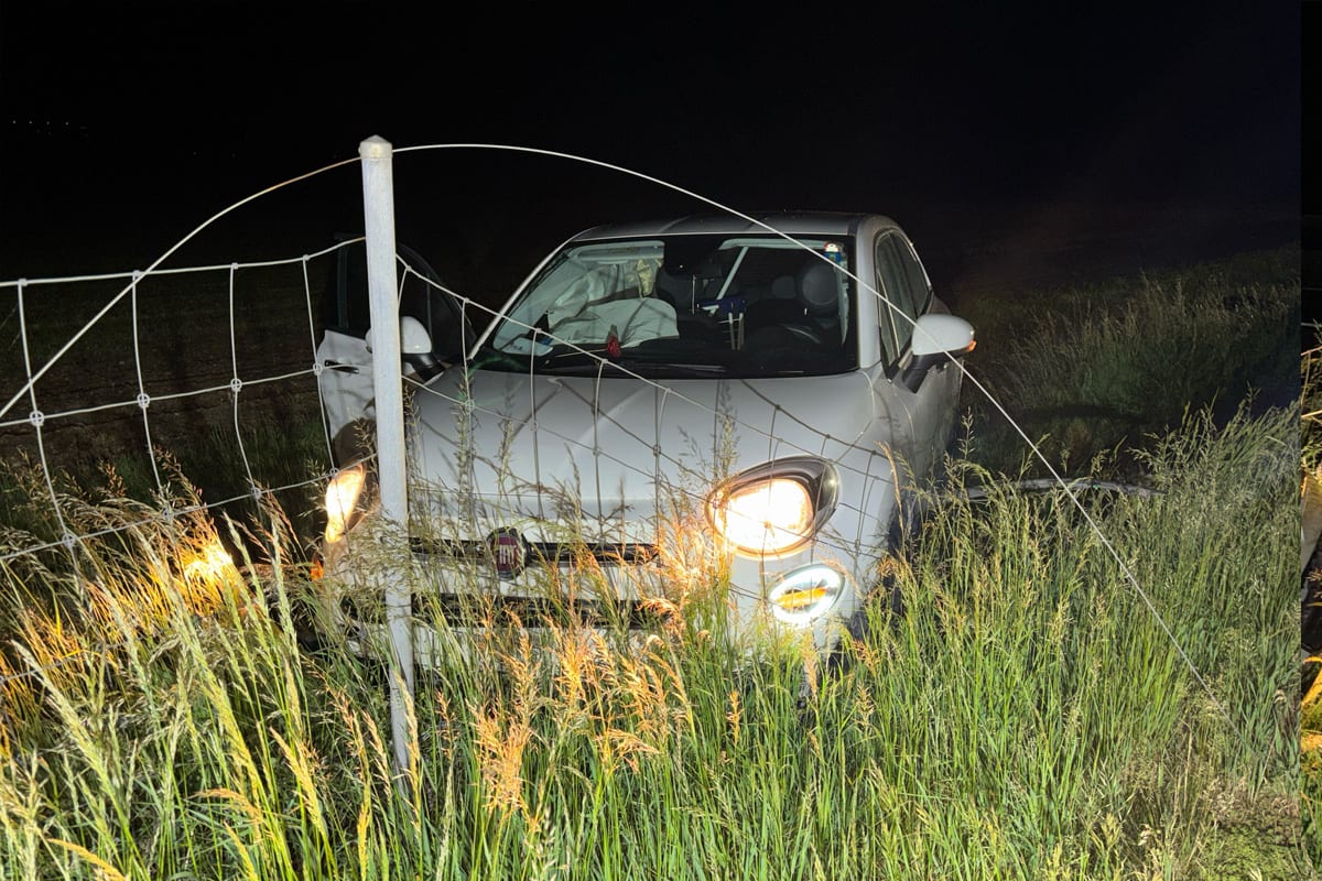 Kestenholz SO – Auto prallt nach Selbstunfall in Wildschutzzaun