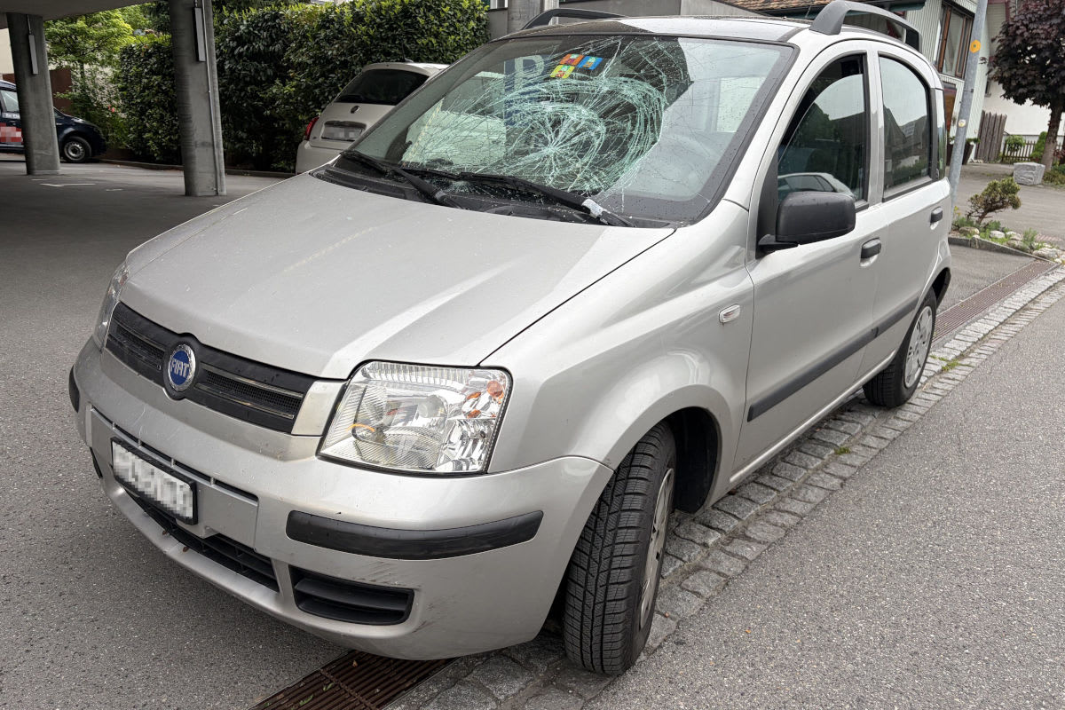 Widnau SG – Fussgänger mit Blindenhund von Auto erfasst