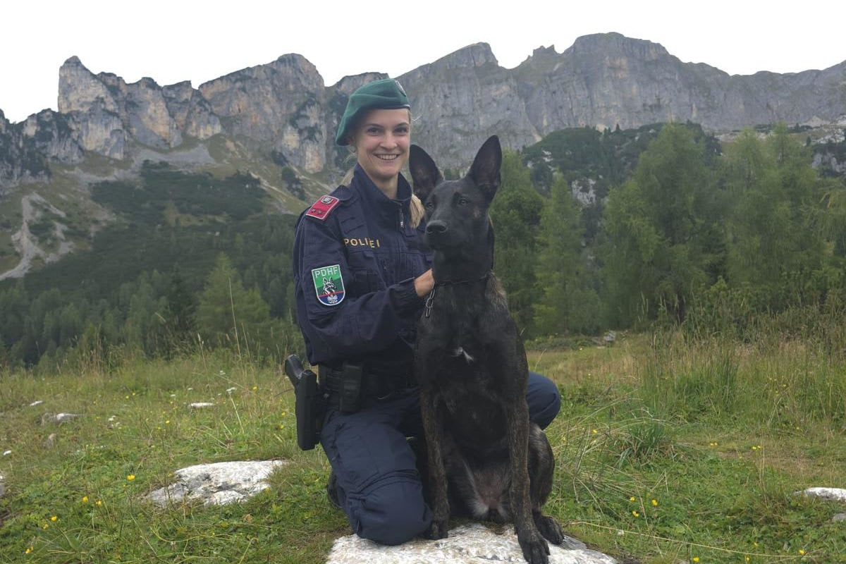 Nachwuchs im Polizeidienst in Tirol – Schäferhündin Sky in Ausbildung