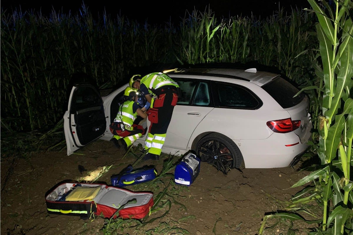 Kestenholz SO - Auto durchbricht Wildschutzzaun  auf der A1 