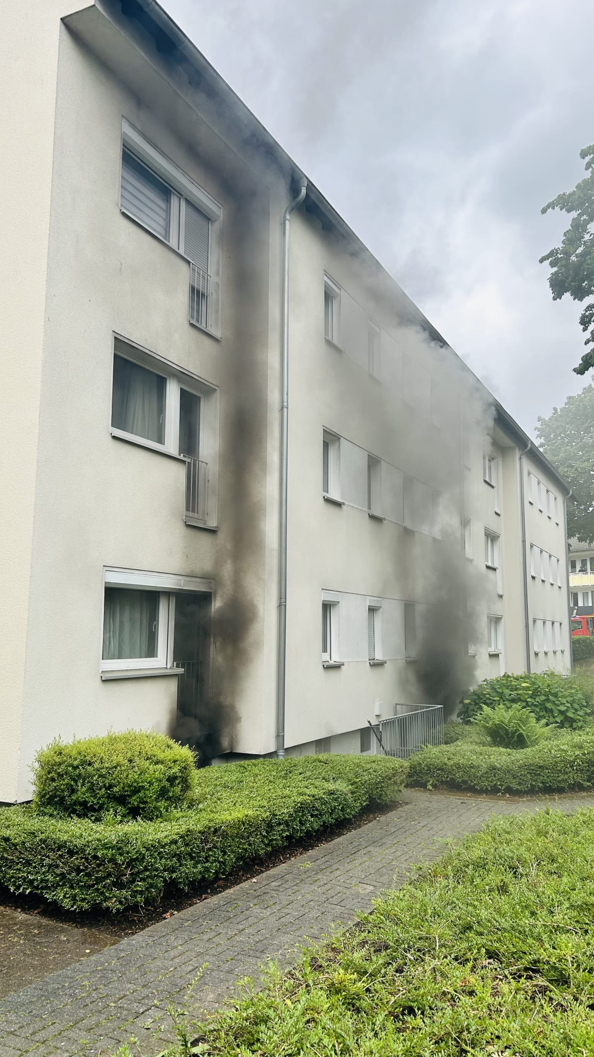 Haan – Verletzte und geretteter Hund bei Kellerbrand in Wohnhaus