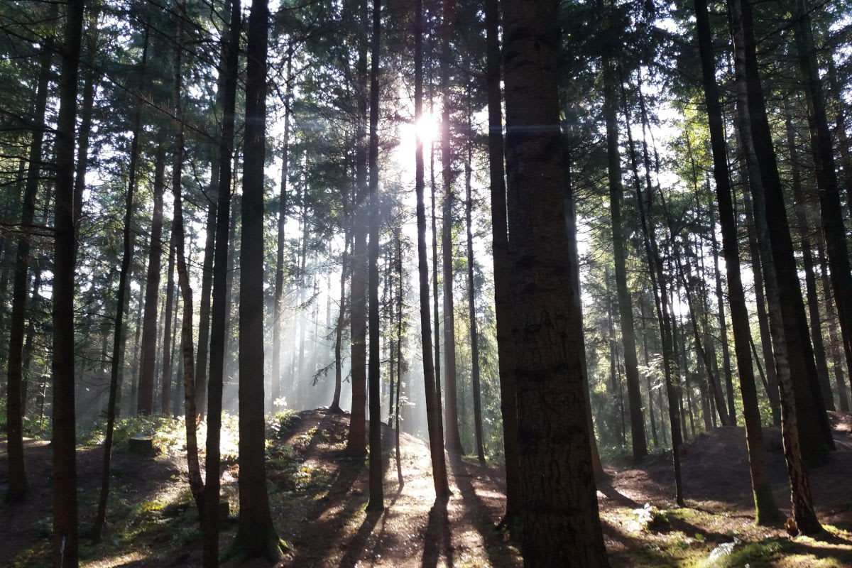 Kanton Bern – Feuerverbote im Wald und in Waldesnähe aufgehoben