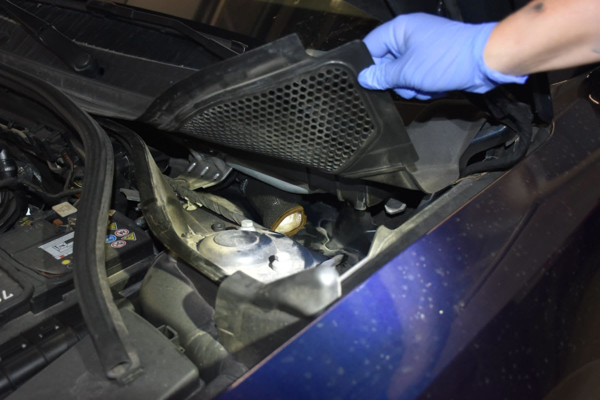 Bardonnex GE – Diensthunde spüren Kokain in zwei Autos auf