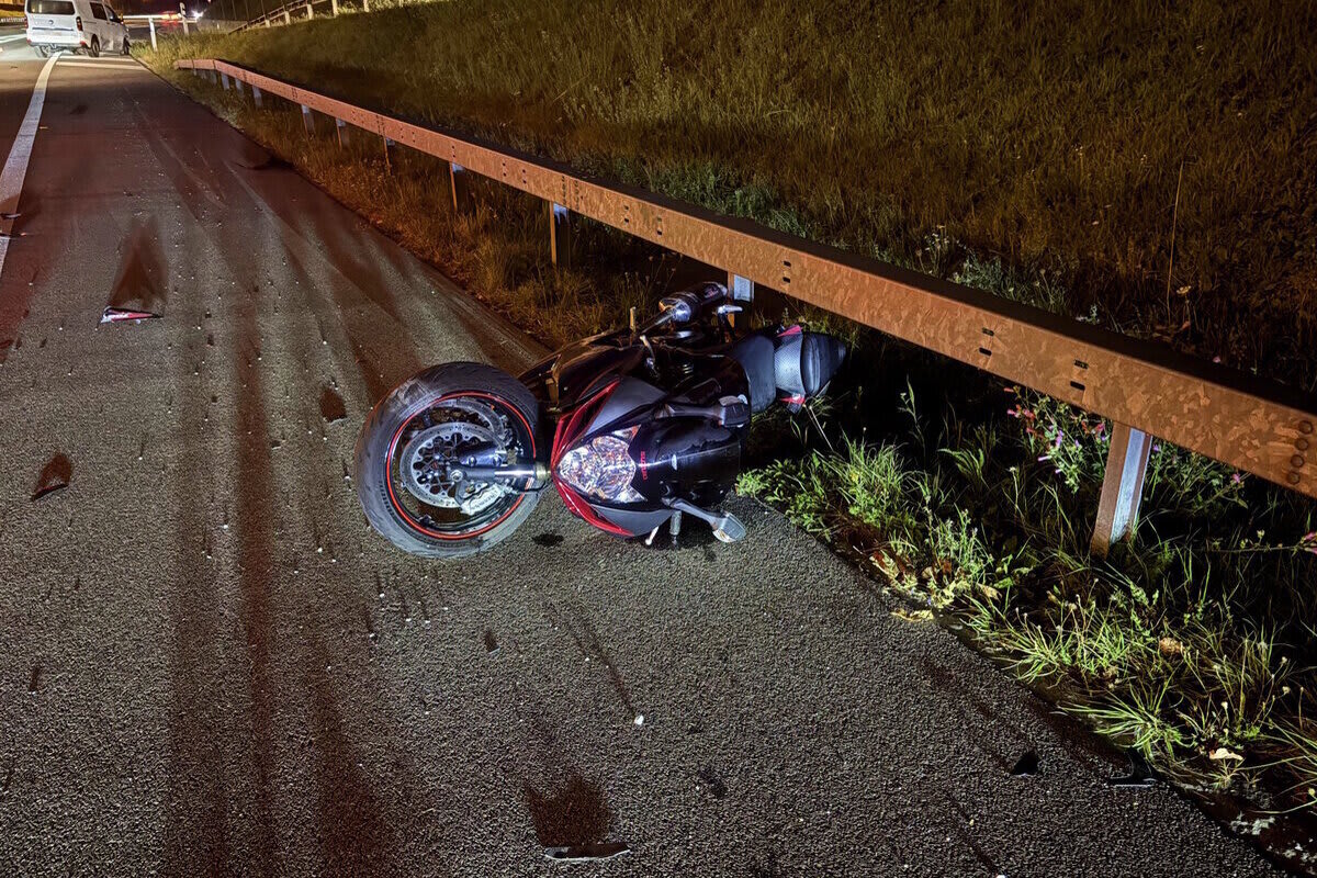 St.Gallen-Winkeln SG – Fuchs löst Unfall aus