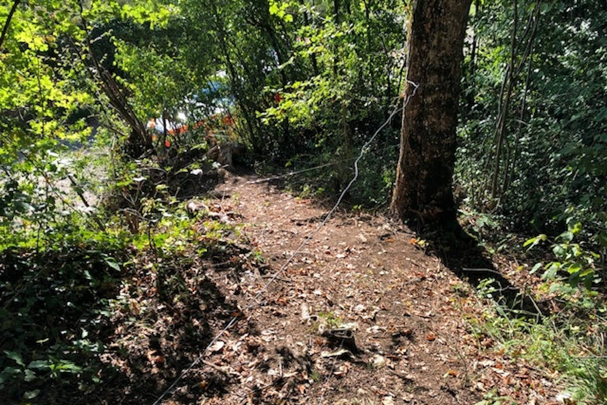Zeugenaufruf Metzerlen-Mariastein SO – Mehrere Drähte über Waldweg gespannt 