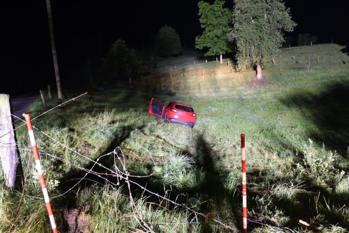 Verkehrsunfall in Ebersecken LU - Stark betrunkener Autofahrer sorgt für Stromausfall 