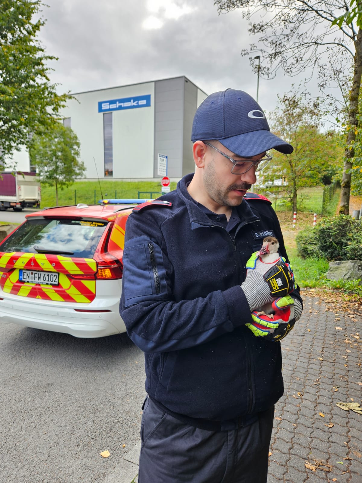 Wetter – Feuerwehr befreit verletzte Ente aus Maschendrahtzaun