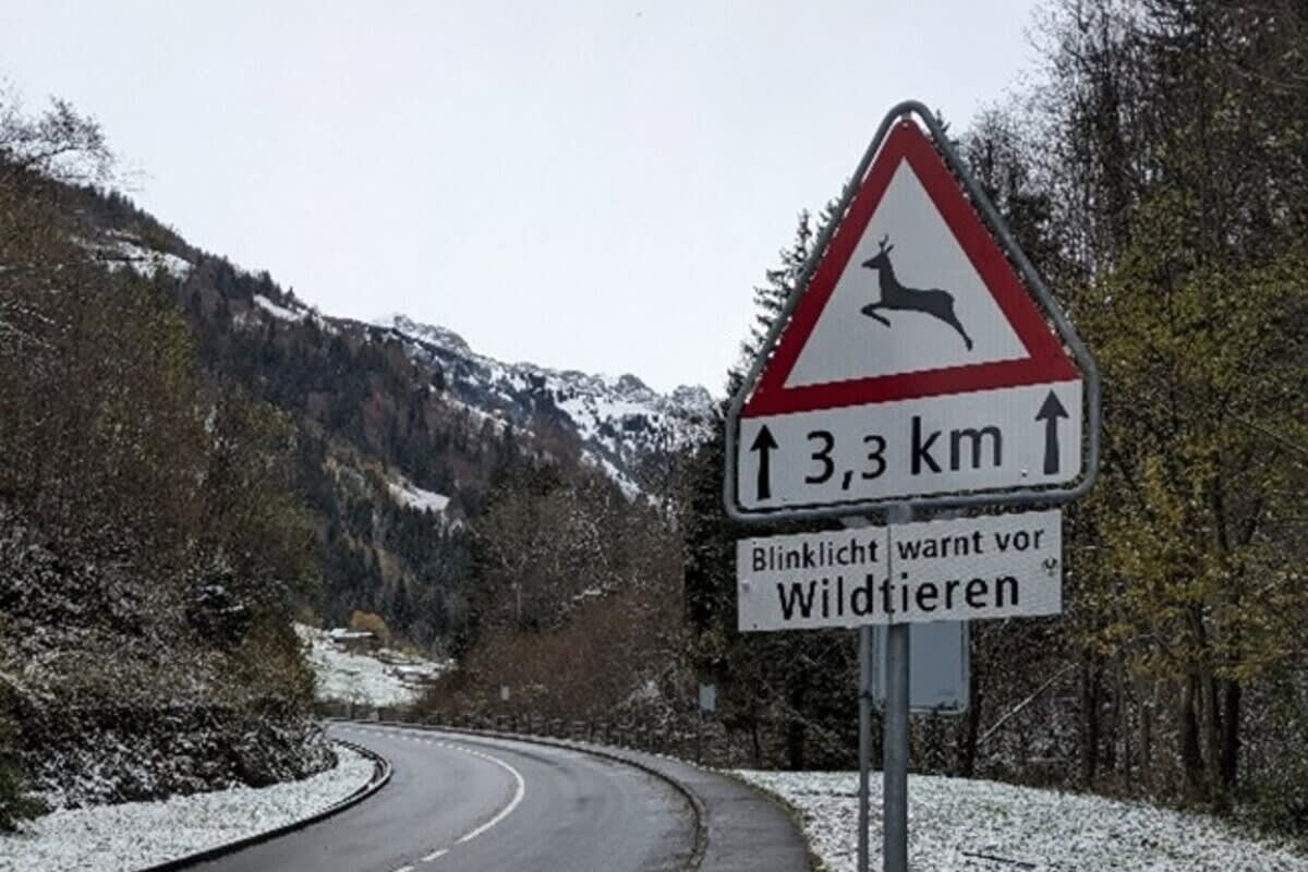 Bürglen UR – Neues Warnsystem soll Kollisionen zwischen Wildtieren und Fahrzeugen verhindern