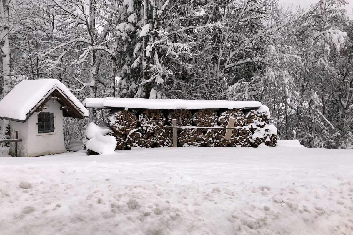 Erster Wintereinbruch anfangs nächster Woche?