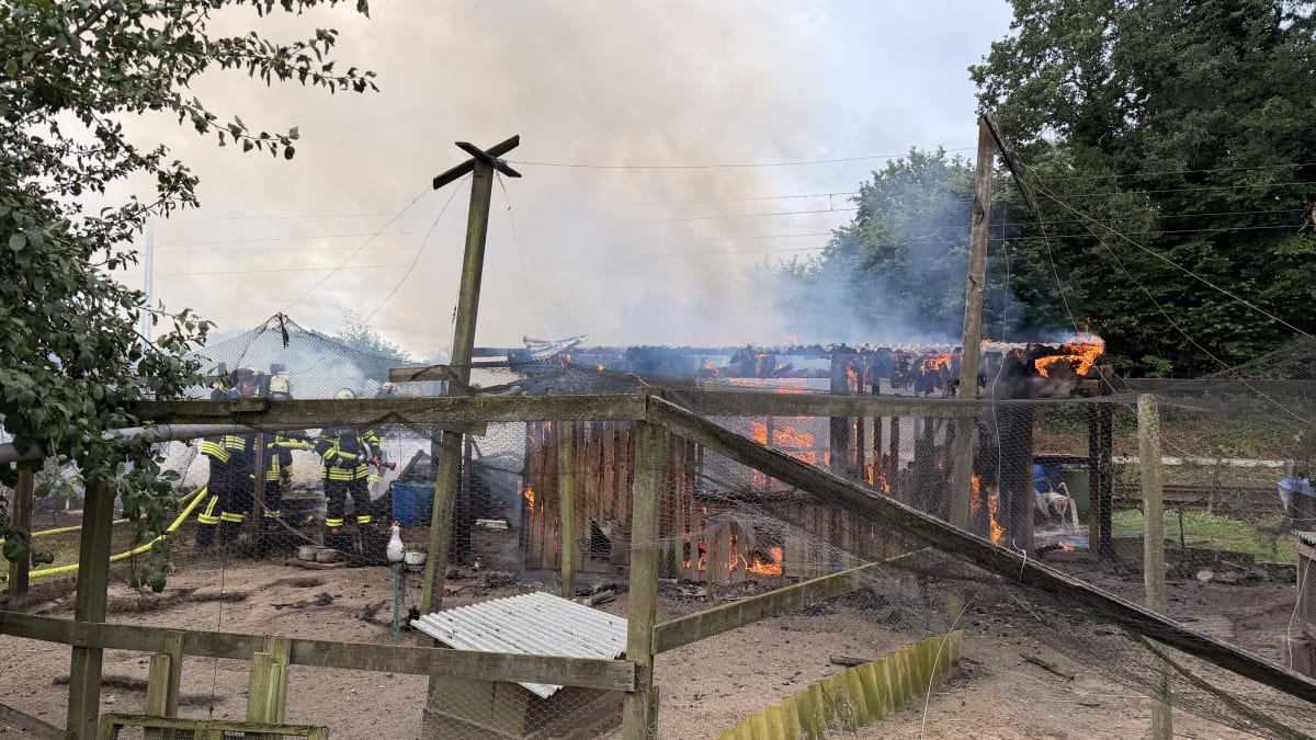 Nottensdorf – Gartenschuppen und Hühnerstall brennen nieder