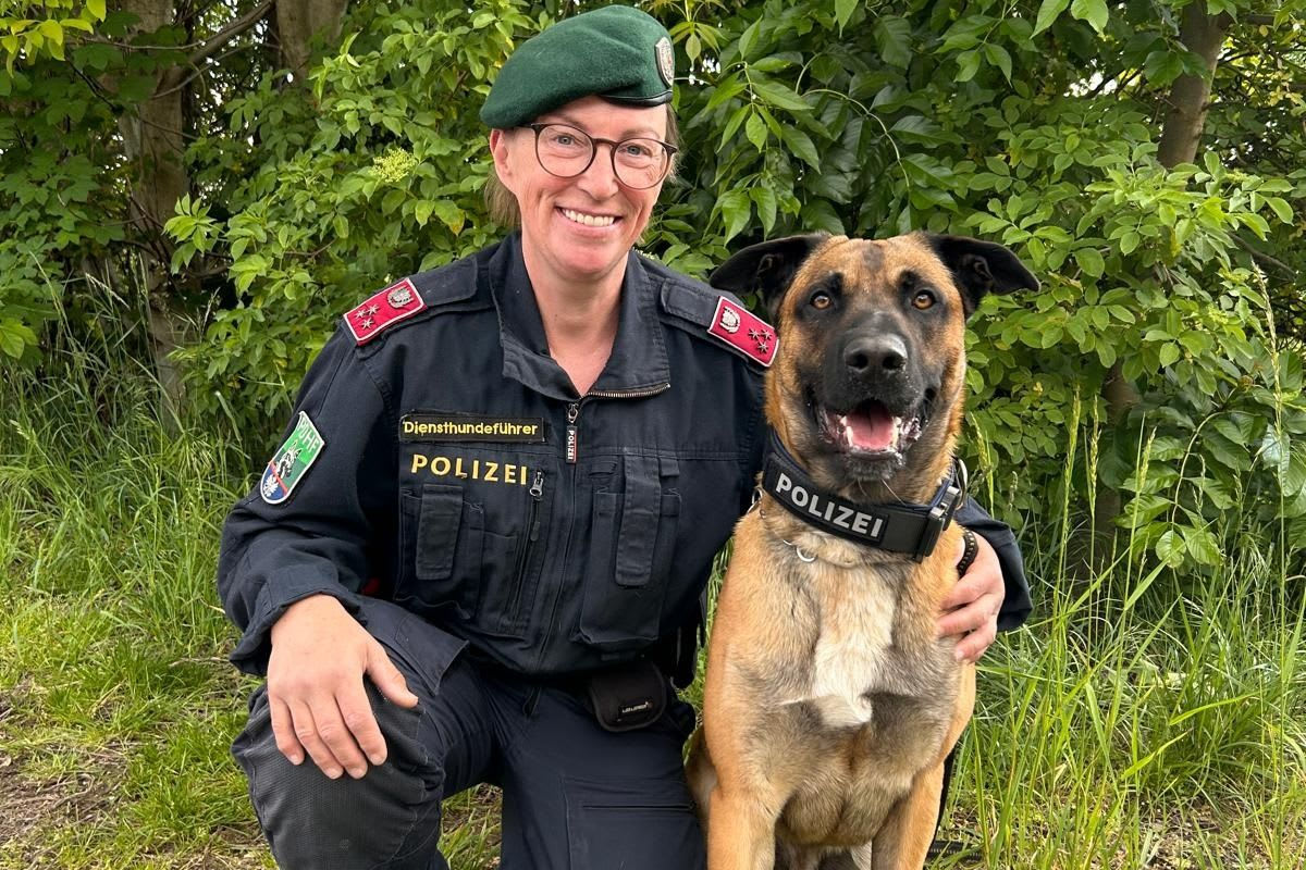 Stockerau – Flüchtiger gefasst dank Diensthund und Polizeidrohne