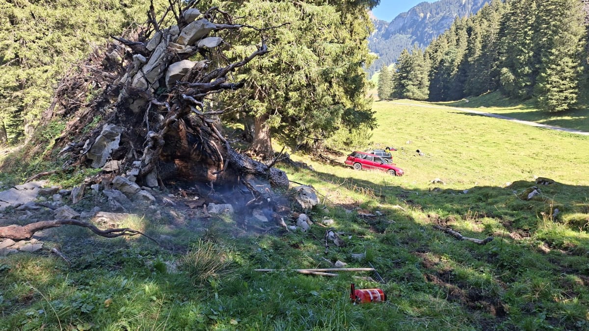 Brülisau AI – Einweggrills lösen Baumbrand aus