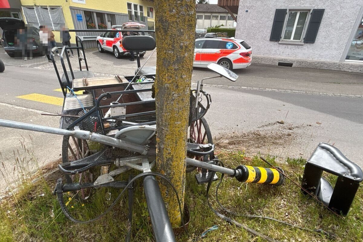 Pferde ziehen Kutsche führerlos durch Härkingen SO 