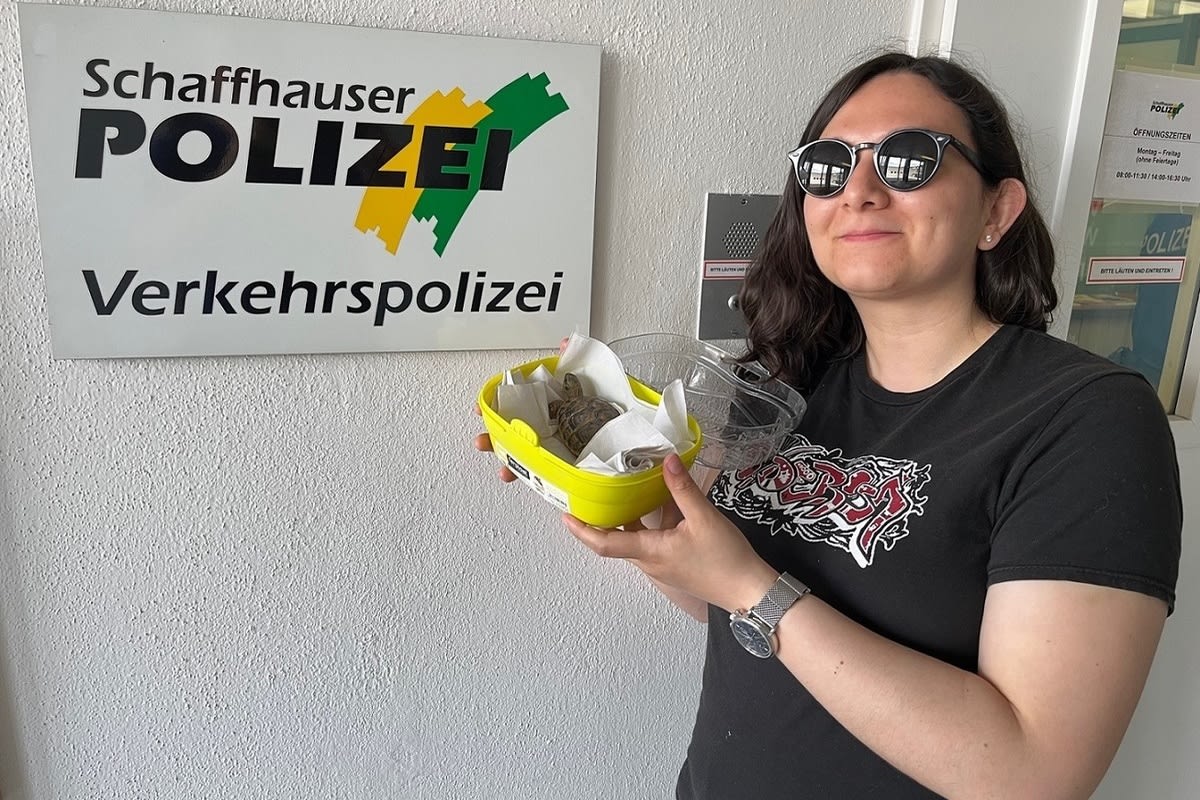 Schaffhausen – Schildkröte wieder mit Besitzerin vereint 