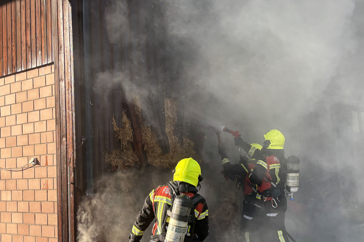 Flums SG – Pferde und Kälber bei Brand aus Scheune gerettet