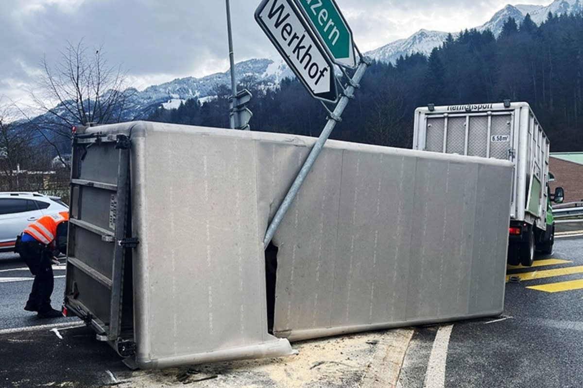 A8 in Kerns OW - Anhänger mit Rindern umgekippt 
