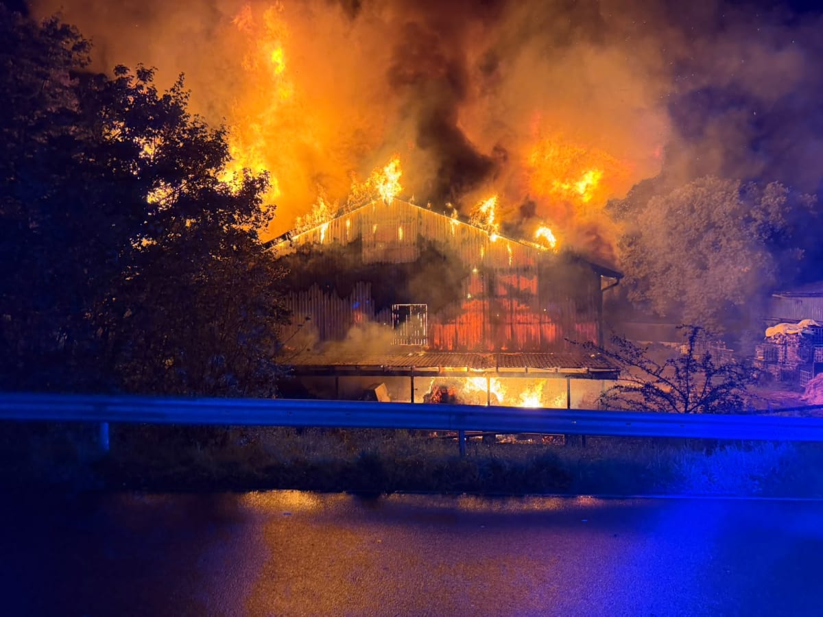 Henstedt-Ulzburg – Großbrand auf landwirtschaftlichem Gehöft