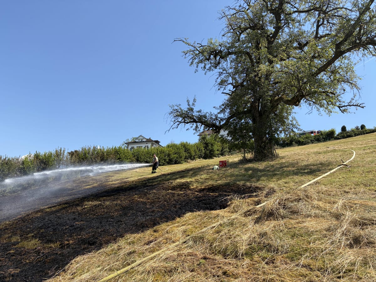 Altendorf SZ – Flächenbrand beim Verbrennen von Ästen